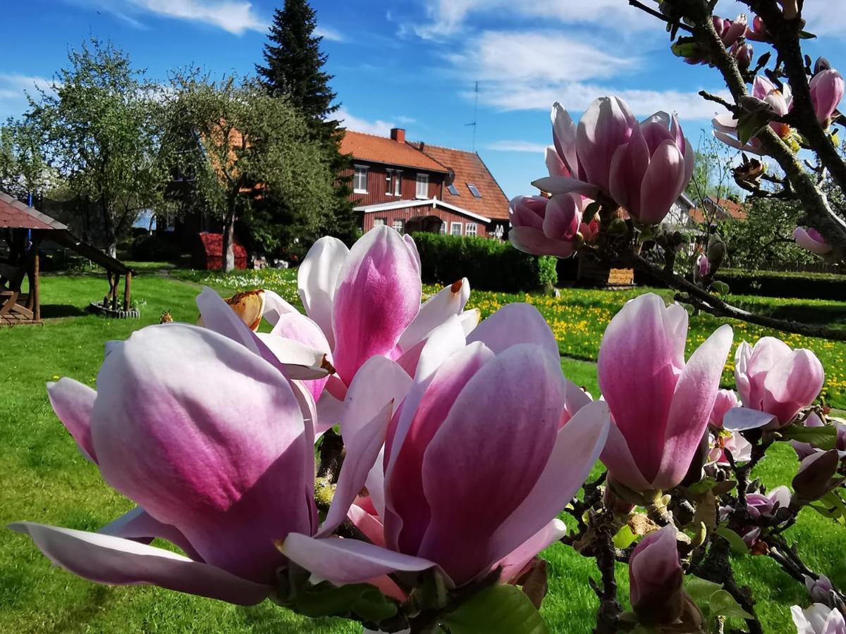 Neringarent Apartamentai Juodkrante Bagian luar foto